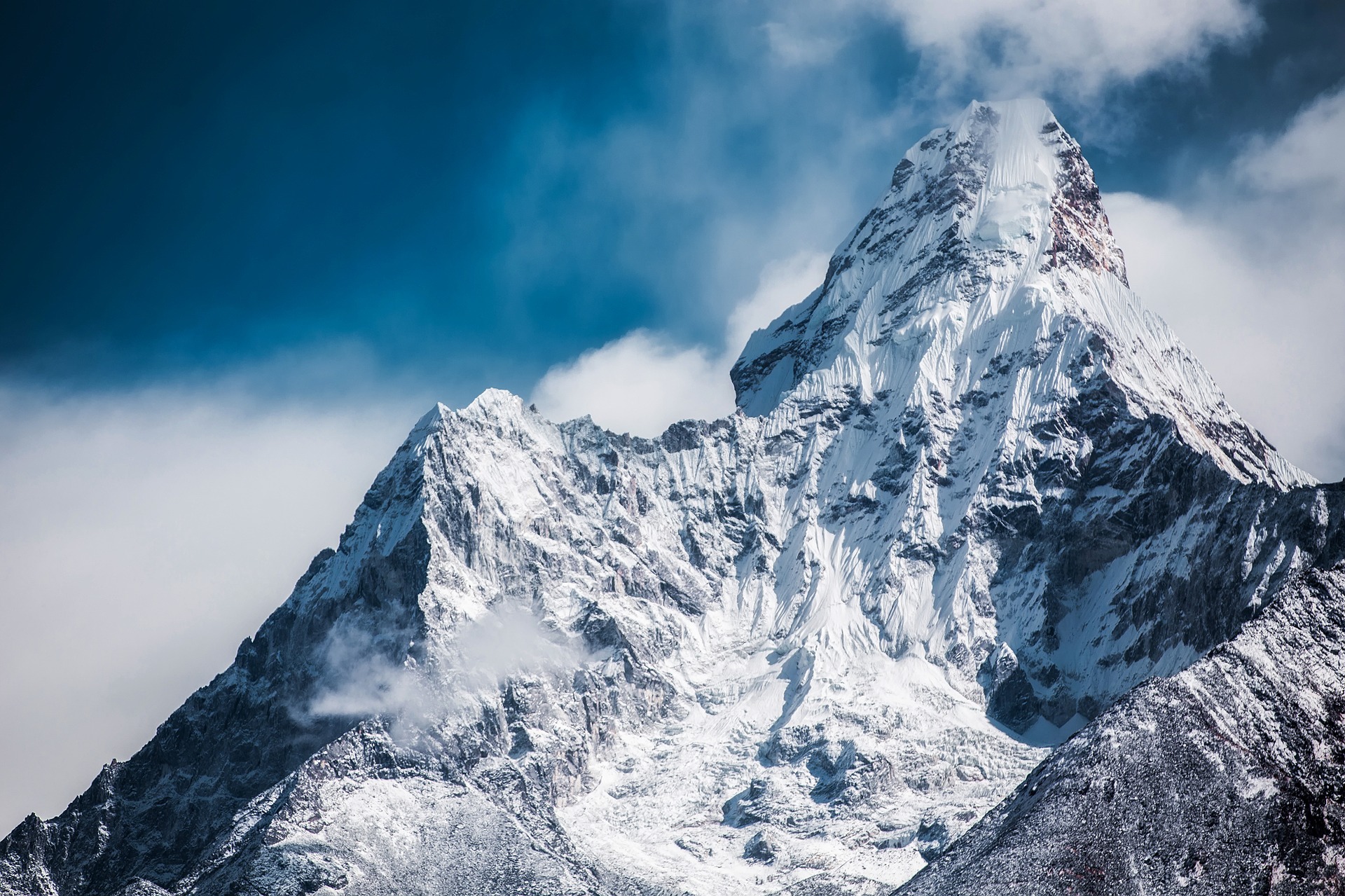 The highest SEO in the world!